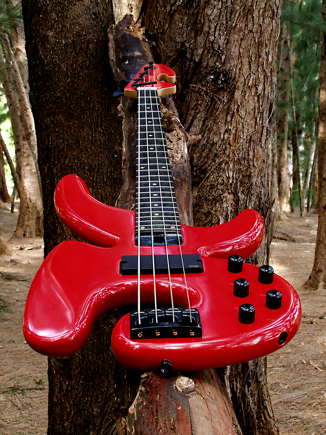 Red Petrounov JC four-string bass